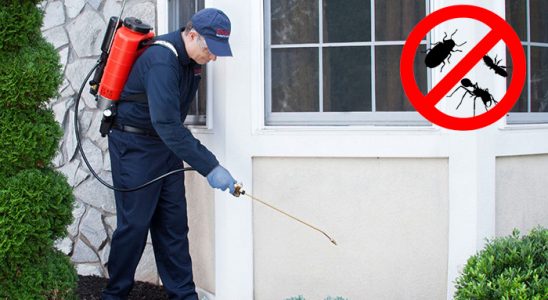 Sarayönü Gümüşkurt İlaçlama böcek ilaçlama ve haşere kontrolü — ilaclama-tr.com